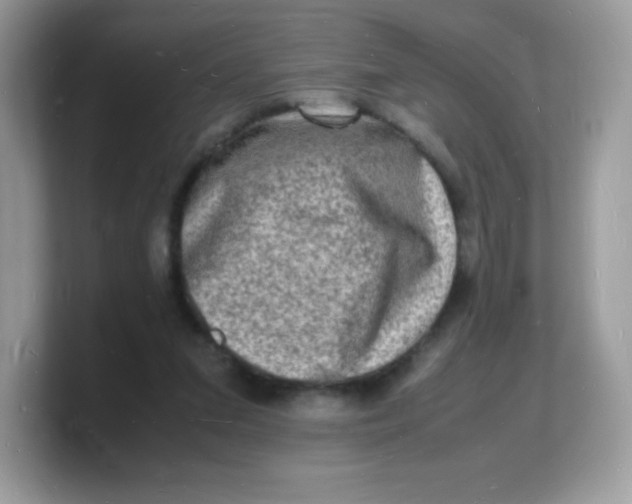 X0000103250207200809181611