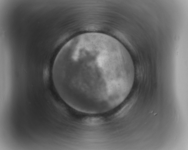 X0000103250208200809181611