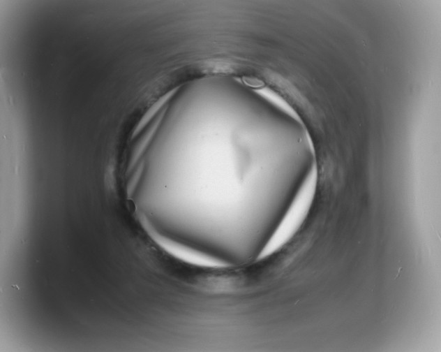 X0000103250209200809181611