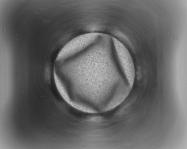 X0000103250210200809181611