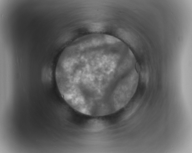 X0000103250211200809181611