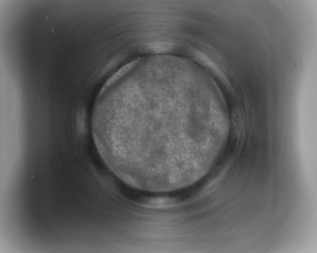 X0000103250212200809181611
