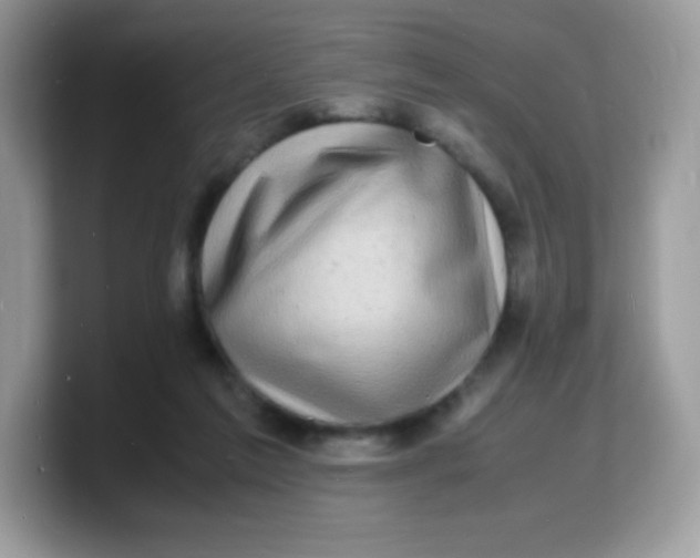 X0000103250213200809181611