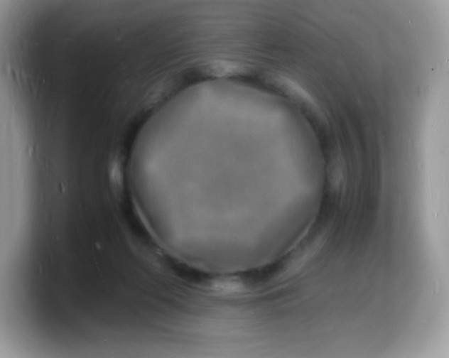 X0000103250214200809181611
