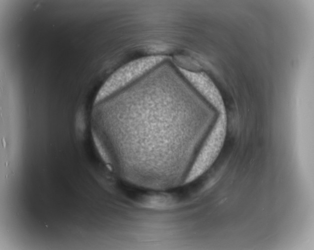 X0000103250215200809181611