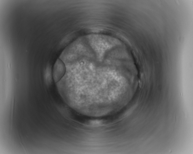 X0000103250216200809181611