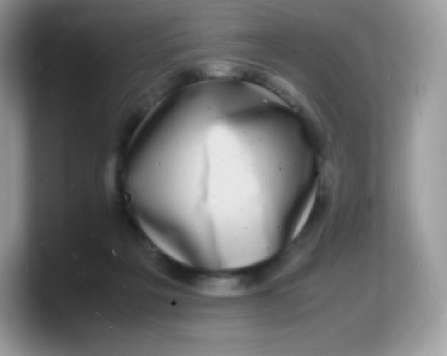 X0000103250217200809181611