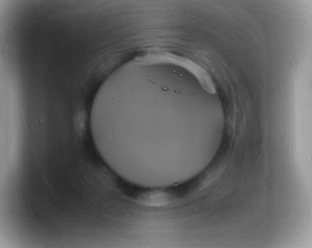 X0000103250219200809181611