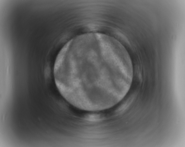 X0000103250220200809181611