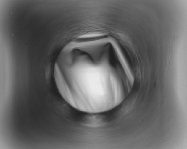X0000103250221200809181611