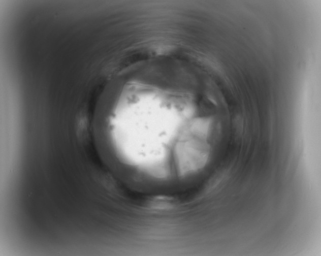 X0000103250222200809181611