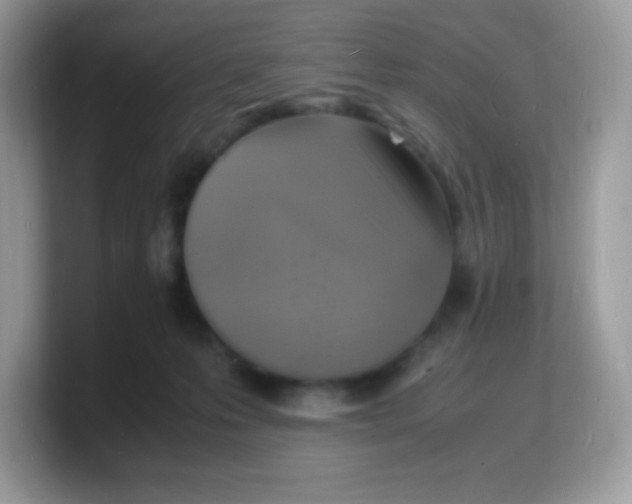 X0000103250223200809181611