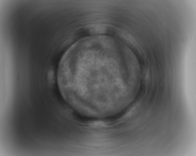 X0000103250224200809181611