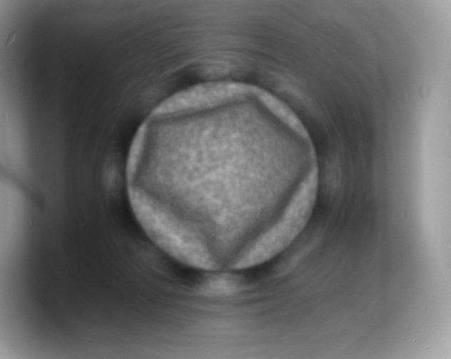 X0000103250226200809181611