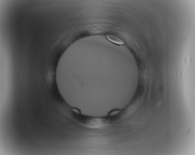 X0000103250227200809181611