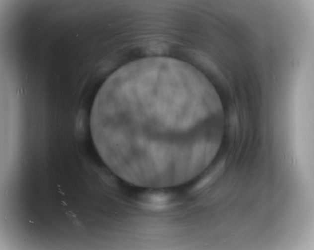 X0000103250228200809181611