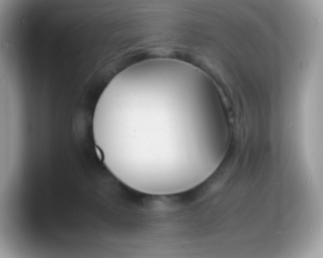 X0000103250229200809181611