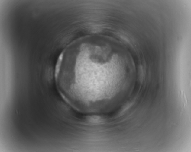 X0000103250230200809181611