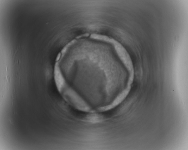 X0000103250231200809181611