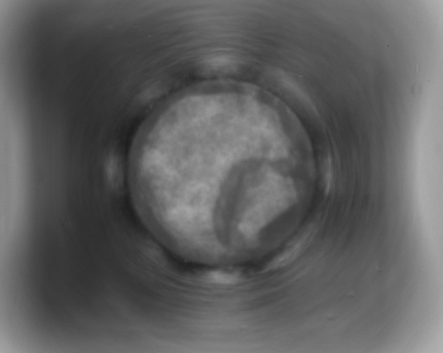 X0000103250232200809181611