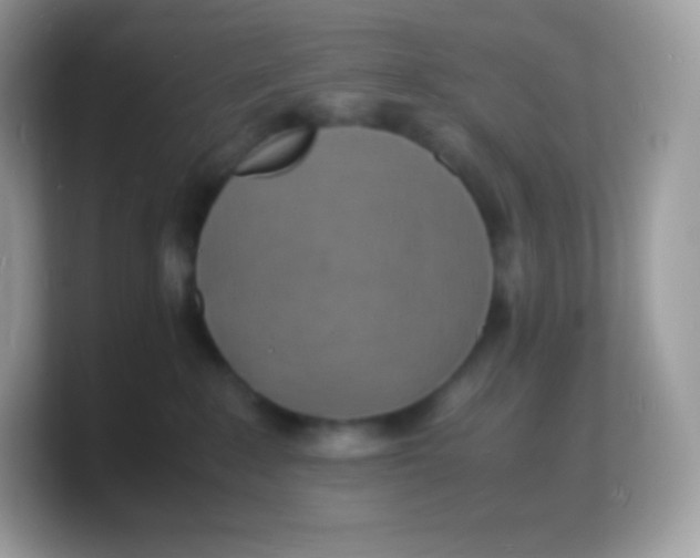 X0000103250235200809181611