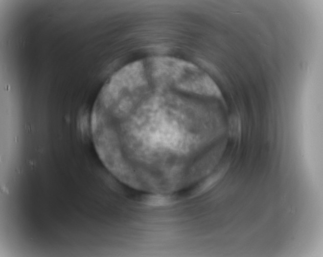 X0000103250238200809181611