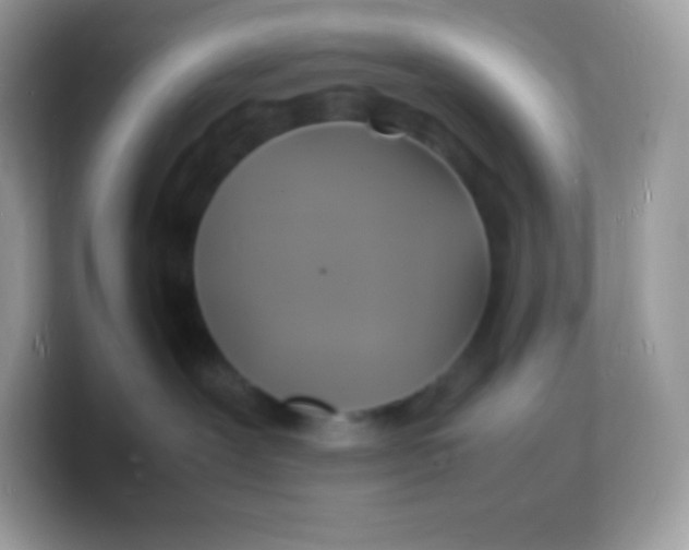 X0000103250239200809181611