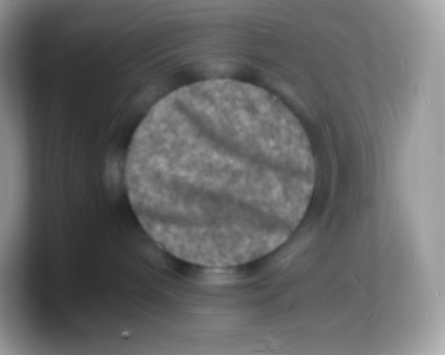 X0000103250240200809181611