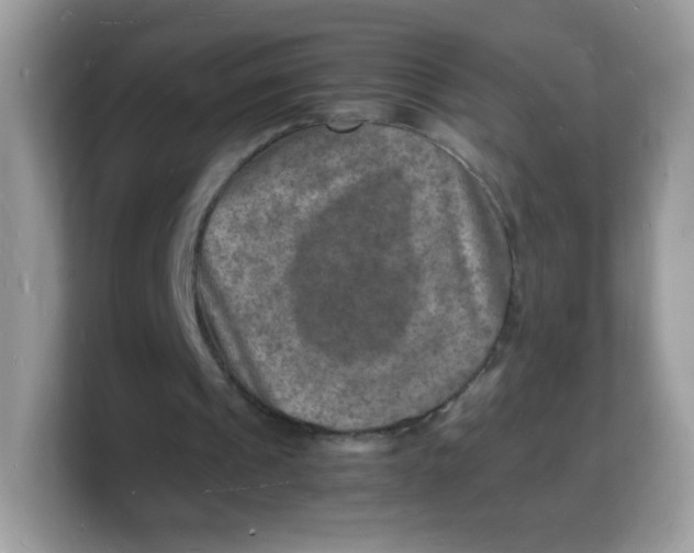X0000103250241200809181610