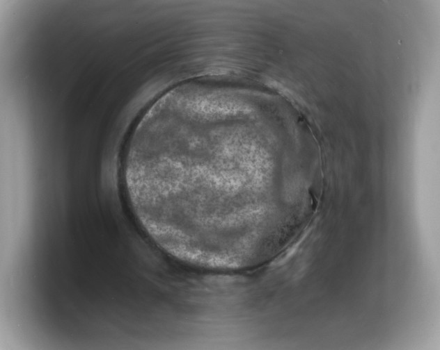 X0000103250242200809181610
