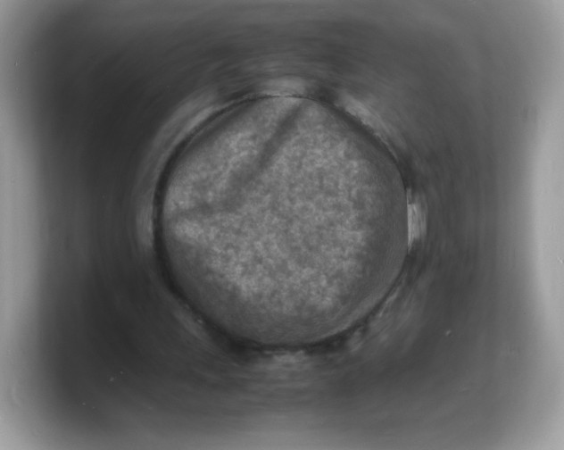 X0000103250243200809181610