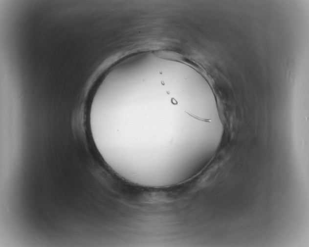 X0000103250244200809181610