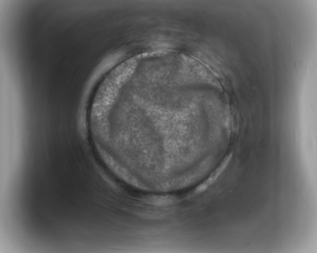 X0000103250245200809181610