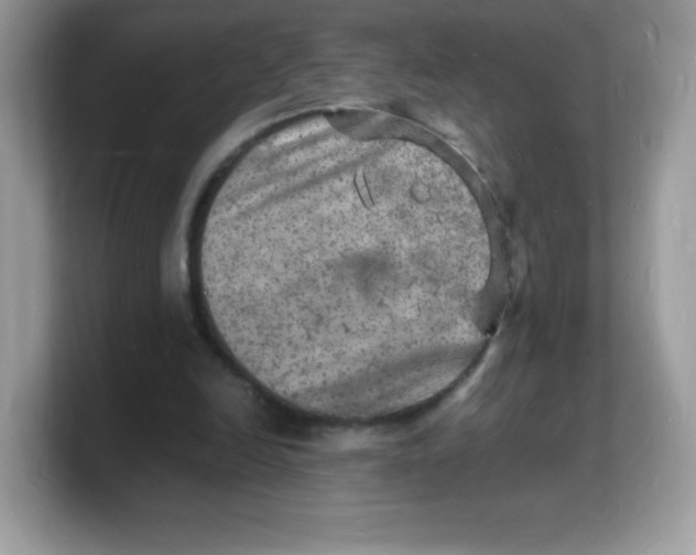 X0000103250246200809181610