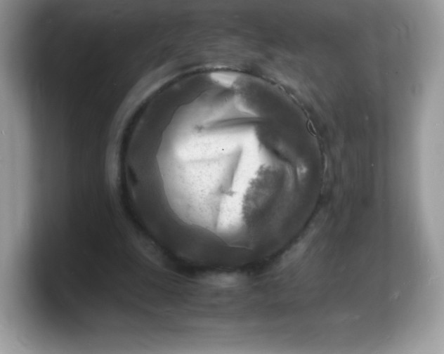 X0000103250247200809181610