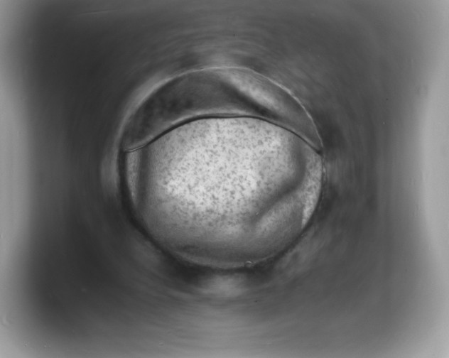 X0000103250248200809181610