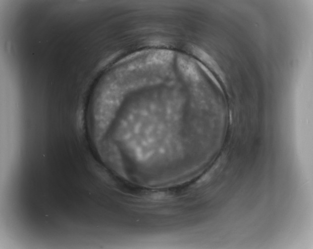 X0000103250249200809181610