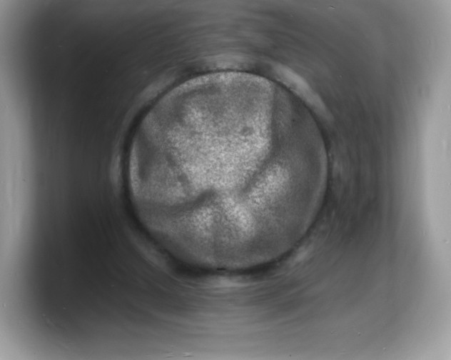 X0000103250250200809181610