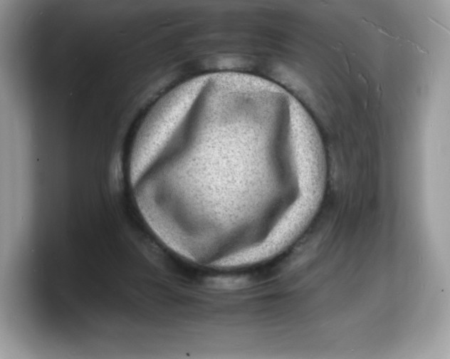 X0000103250251200809181610