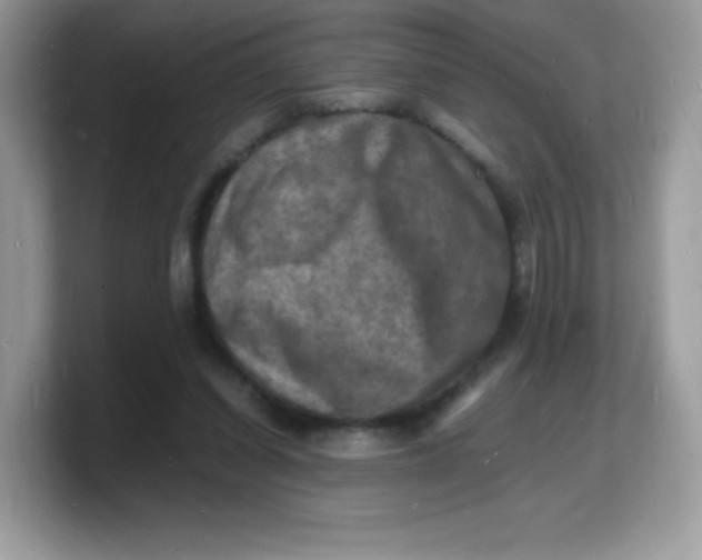 X0000103250254200809181610