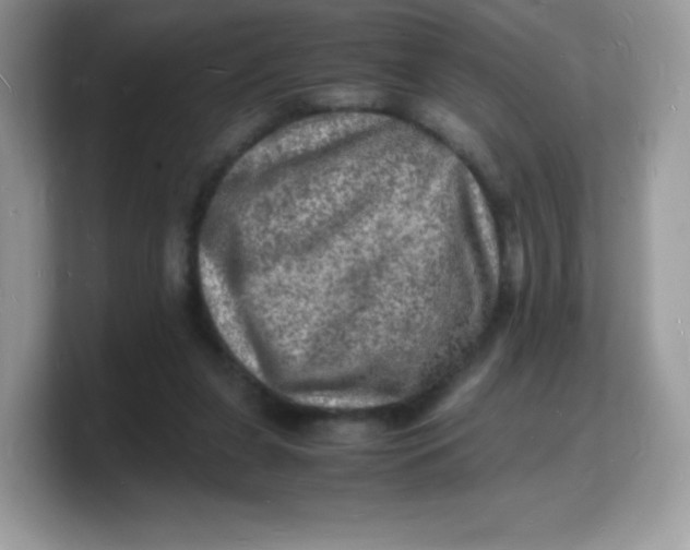 X0000103250255200809181610