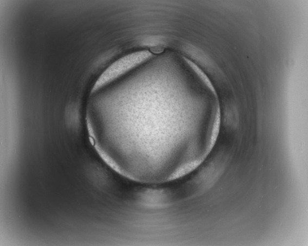 X0000103250256200809181610