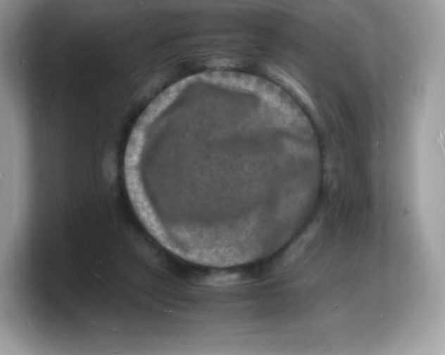 X0000103250257200809181611