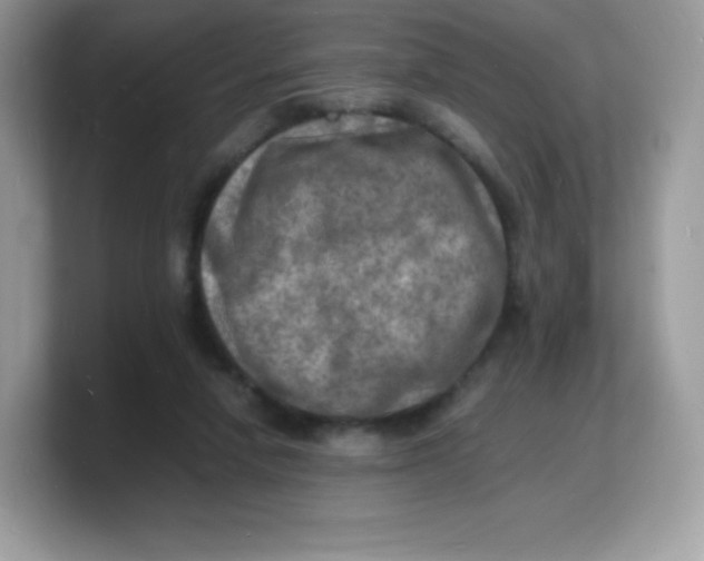 X0000103250258200809181611