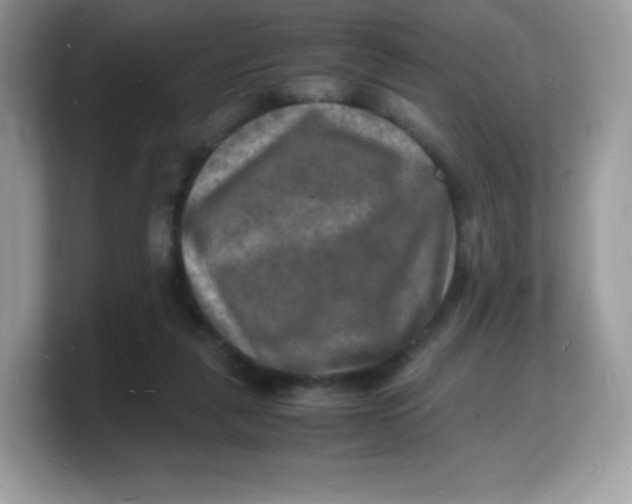 X0000103250259200809181611