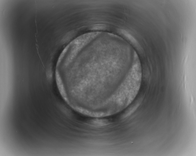 X0000103250261200809181611