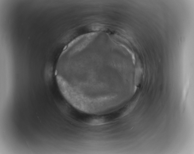 X0000103250263200809181611