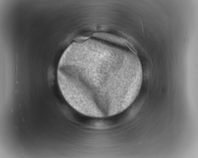 X0000103250264200809181611