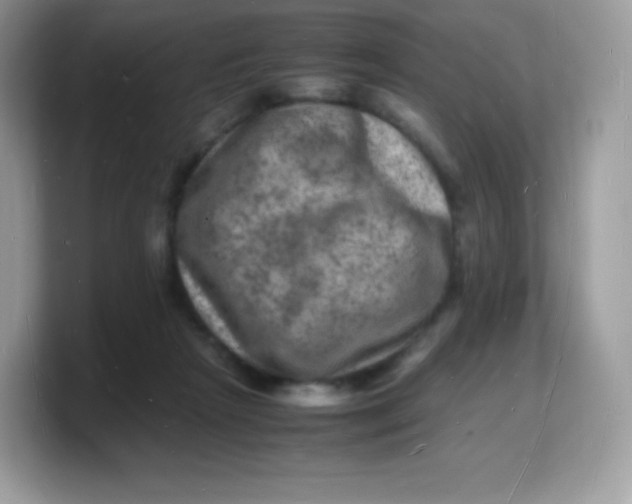 X0000103250265200809181611