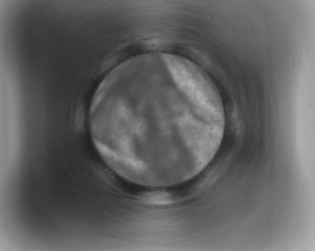 X0000103250266200809181611